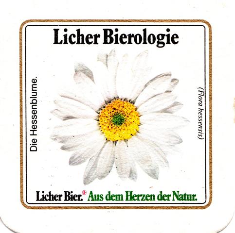 lich gi-he licher biero bfr lo rd 1b (quad185-die hessenblume)